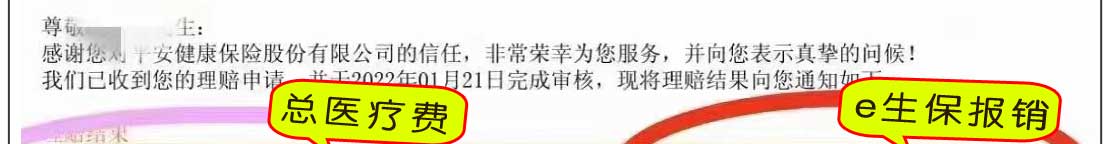 e生保98万理赔