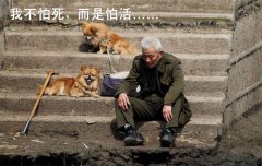 <b>养老真相 | 靠子女养老可行吗？被“掏空”的老人有话</b>