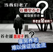 视频 | 靠房养老，难以保证现金流？